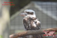 2018-GER-009790 2018-GER-009790