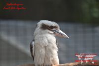 2018-GER-009791 2018-GER-009791